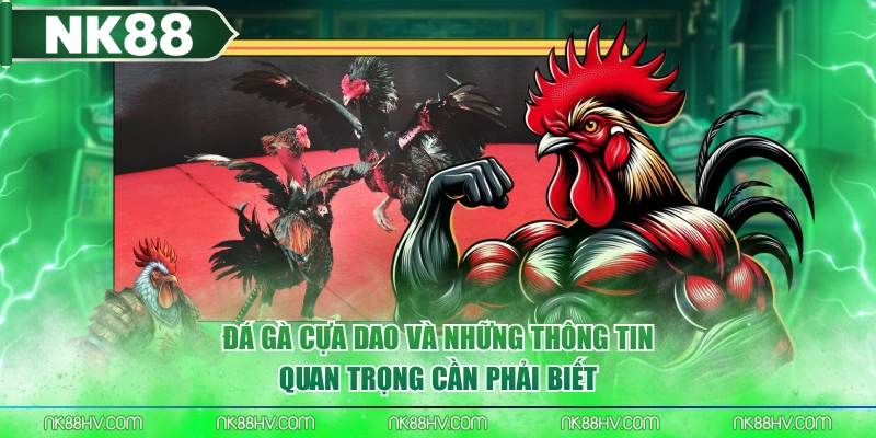 Đá Gà Cựa Dao Và Những Thông Tin Quan Trọng Cần Phải Biết
