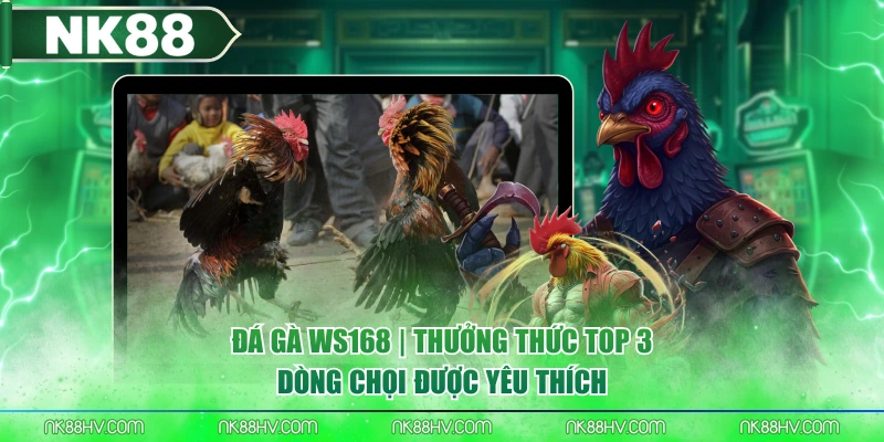 Đá Gà WS168 | Thưởng Thức Top 3 Dòng Chọi Được Yêu Thích
